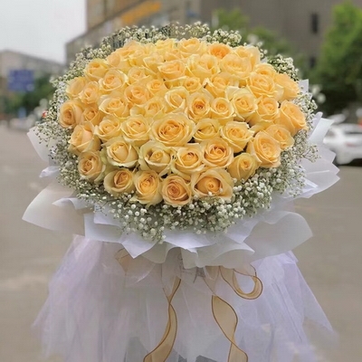 绚丽未来