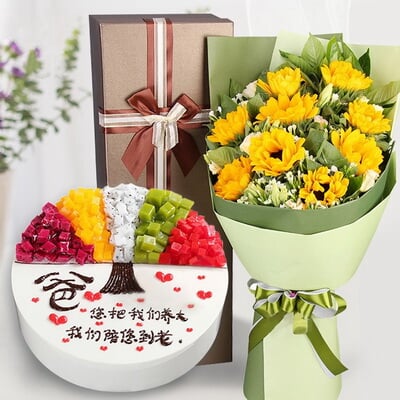 阳光父爱 商品图 1
